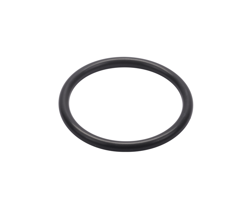 O-RING R DN20 FPM